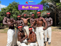 Bull Team